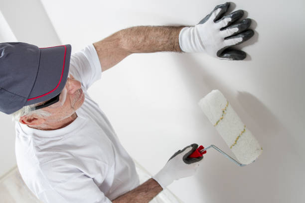 Trusted Donaldsonville, LA Mold Removal Experts